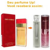 Up! Dolce & Gabbana